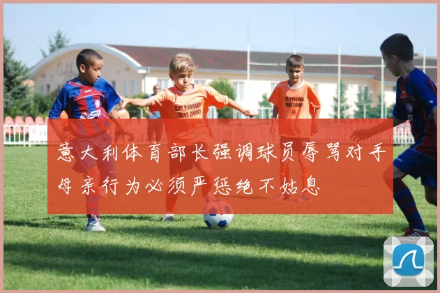 意大利体育部长强调球员辱骂对手母亲行为必须严惩绝不姑息