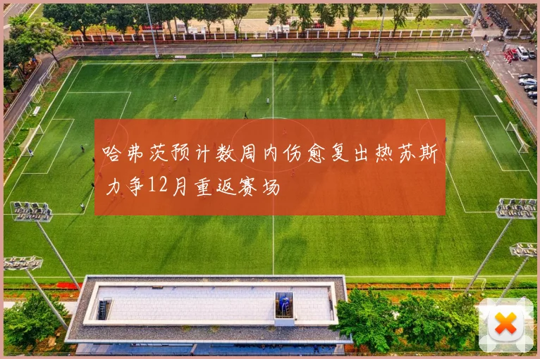 哈弗茨预计数周内伤愈复出热苏斯力争12月重返赛场