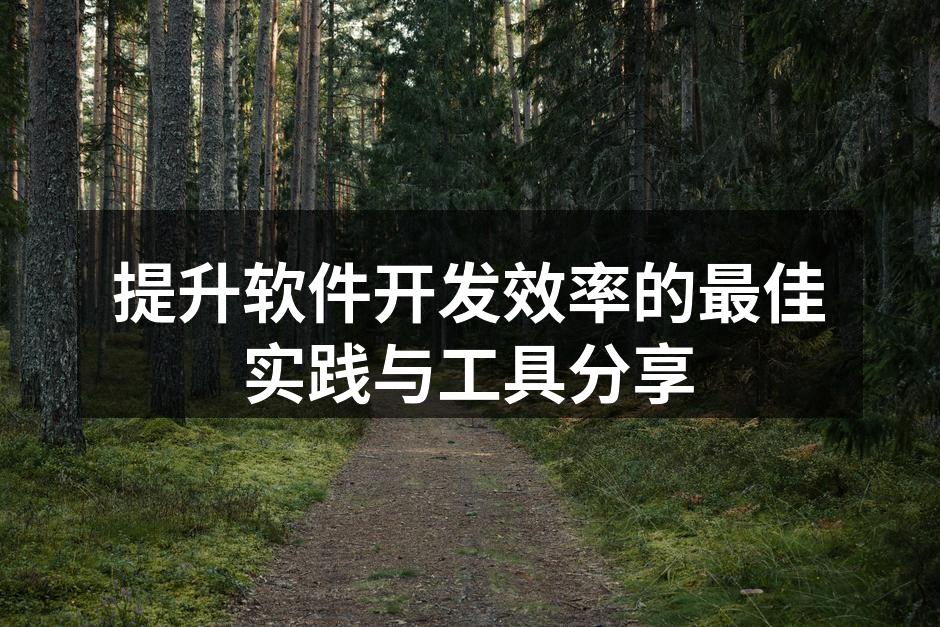 提升软件开发效率的最佳实践与工具分享